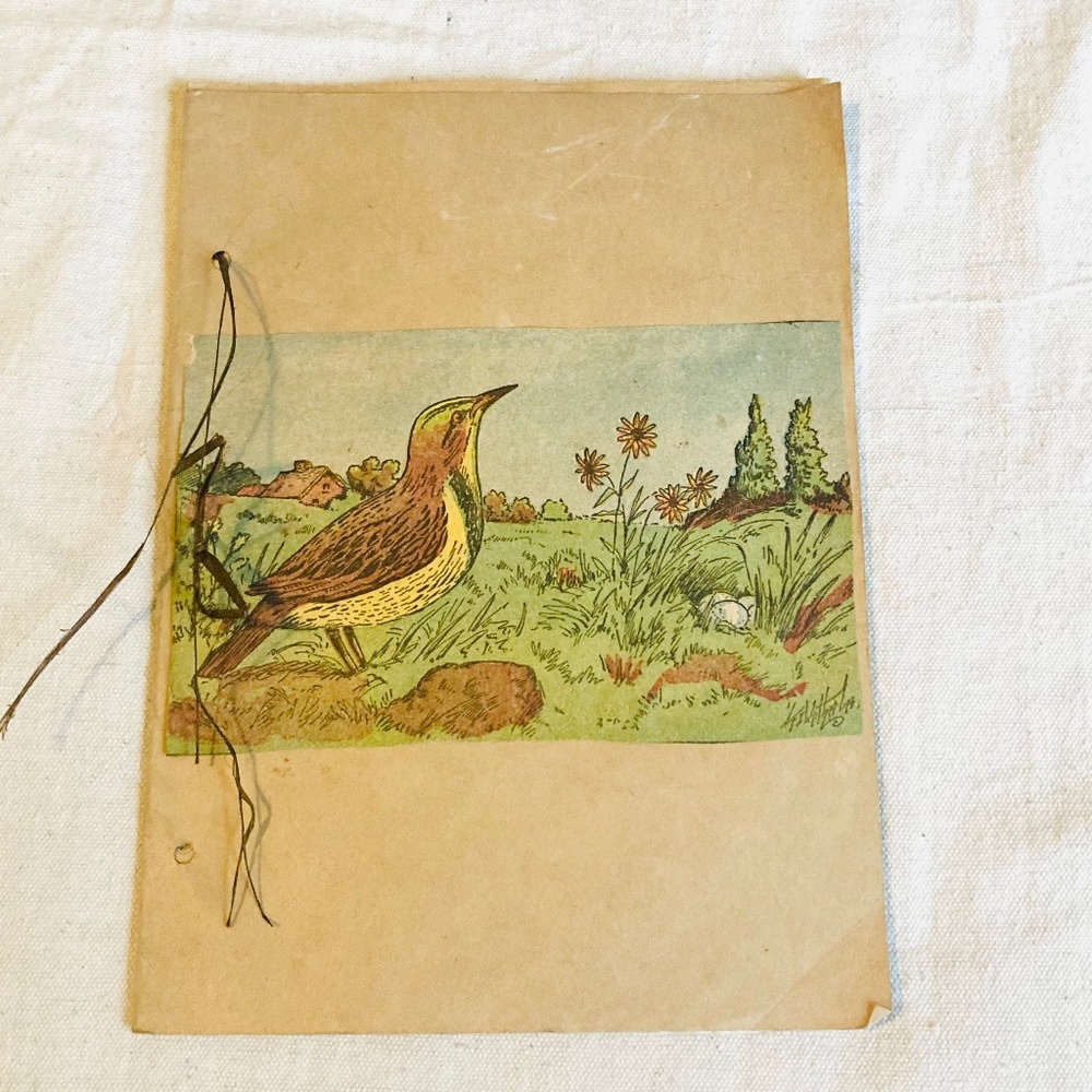 Vintage Paper 1930s Childs Art Book Bird Lover Picture Scrap Book Prints 11”